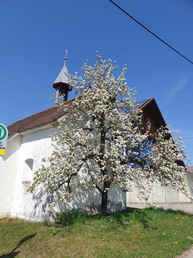 Ferienwohnung Rupp Argenbuhl Екстериор снимка